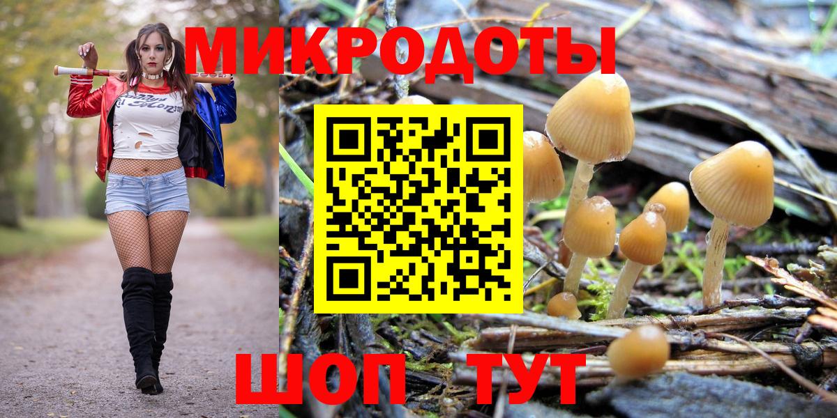Псилоцибиновые грибы Magic Shrooms Протвино